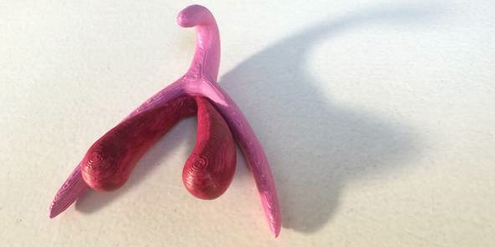 Klitoris-Modell aus dem 3D-Drucker. Klitoris-Modell aus dem 3D-Drucker.
